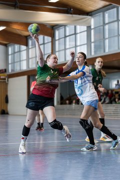 Bild 101 - F HSG Kremperheide/Muensterdorf - ATSV Stockelsdorf 2 : Ergebnis: 47:32